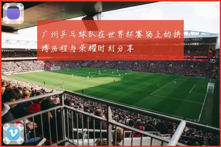 广州乒乓球队在世界杯赛场上的拼搏历程与荣耀时刻分享