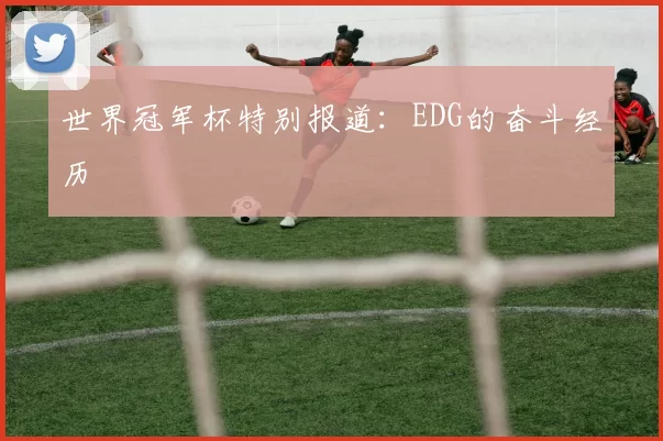 世界冠军杯特别报道：EDG的奋斗经历