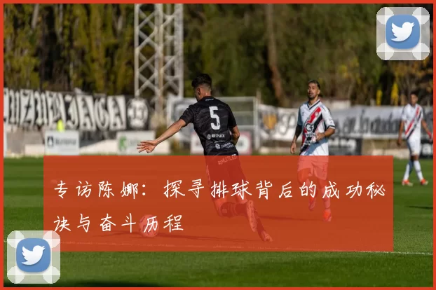 专访陈娜：探寻排球背后的成功秘诀与奋斗历程