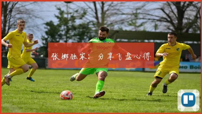 张娜独家：分享飞盘心得