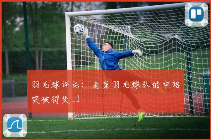 羽毛球评论：南京羽毛球队的中路突破得失_1