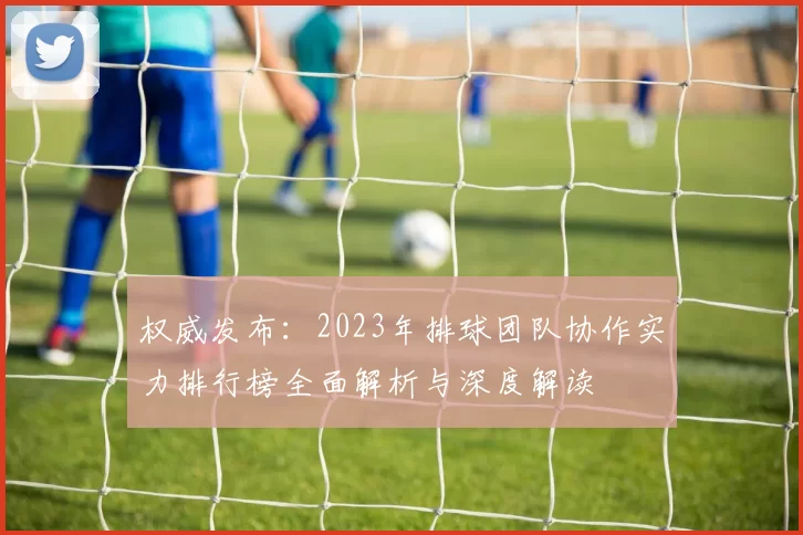 权威发布：2023年排球团队协作实力排行榜全面解析与深度解读