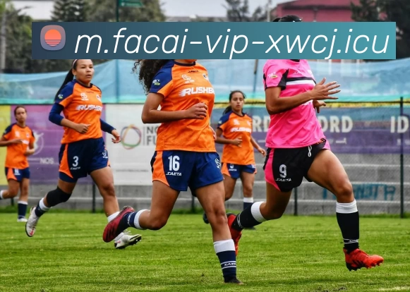 MK体育注册发展历程